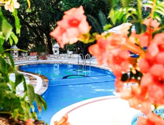 genel görüntü-tepeden